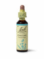 Sealed dropper bottle of Bach™ Original Flower Remedy Chicory 20ml  on a white background. The bottle label reads " Bach™  Original Flower  Remedies  Chicory - Cichorium intybus" and includes a blue illustration of the flower at the bottom.