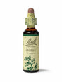 Sealed dropper bottle of Bach™ Original Flower Remedy Holly 20ml  on a white background. Th bottle label reads" Bach™ Original Flower  Remedies Holly - Ilex aquifolium" and includes a green illustration of the flower at the bottom.