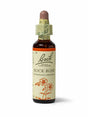 Sealed dropper bottle of Bach™ Original Flower Remedy Rock Rose 20ml  on a white background. The bottle reads " Bach™  Original Flower Remedies Rock Rose - Heliantherum nummularium" and includes an orange illustration of the flower at the bottom.