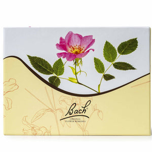 Bach Original Flower Remedy Card Box Set 38 x 20ml