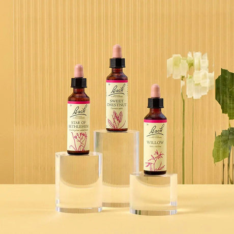 There are three essences on top of three rounded transparent bases from  left to right: on top of the medium base is Bach™  Original Flower Remedies Star of Bethlehem, on top of the large base is Bach™  Original Flower Remedy Sweet Chestnut, and on top of the small base is Bach™ Original Flower Remedies Willow. There is a white background against a transparent background.