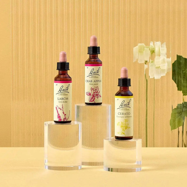 There are three essences on top of three rounded transparent bases from  left to right: on top of the medium base is Bach™  Original Flower Remedies Larch, on top of the large base is Bach™  Original Flower Remedy Crab Apple, and on top of the small base is Bach™ Original Flower Remedies Cerato. There is a white background against a transparent background.