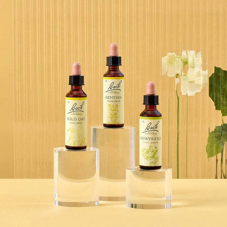 There are three essences on top of three rounded transparent bases from  left to right: on top of the medium base is Bach™  Original Flower Remedies Wild Oat, on top of the large base is Bach™  Original Flower Remedy Gentian, and on top of the small base is Bach™ Original Flower Remedies Honeysuckle. There is a white background against a transparent background.