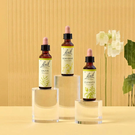 There are three essences on top of three rounded transparent bases from  left to right: on top of the medium base is Bach™  Original Flower Remedies Olive, on top of the large base is Bach™  Original Flower Remedy Hornbeam, and on top of the small base is Bach™ Original Flower Remedies Clematis. There is a white background against a transparent background.