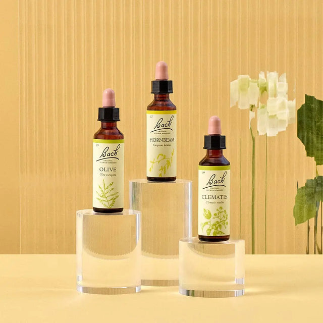 There are three essences on top of three rounded transparent bases from  left to right: on top of the medium base is Bach™  Original Flower Remedies Olive, on top of the large base is Bach™  Original Flower Remedy Hornbeam, and on top of the small base is Bach™ Original Flower Remedies Clematis. There is a white background against a transparent background.