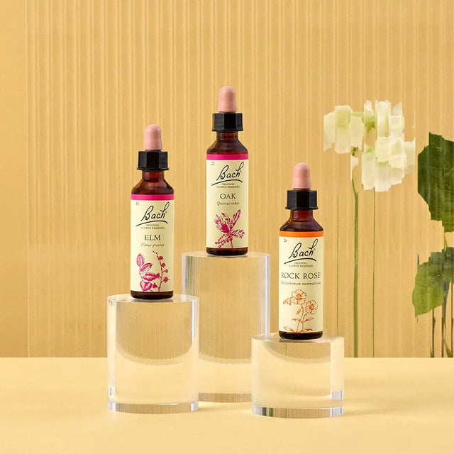 There are three essences on top of three rounded transparent bases from  left to right: on top of the medium base is Bach™  Original Flower Remedies Elm, on top of the large base is Bach™  Original Flower Remedy Oak, and on top of the small base is Bach™ Original Flower Remedies Rock Rose. There is a white background against a transparent background.