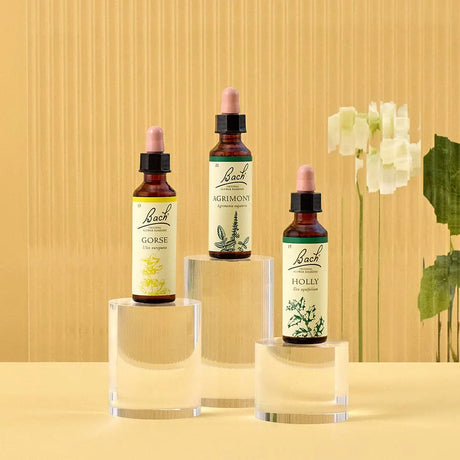 There are three essences on top of three rounded transparent bases from  left to right: on top of the medium base is Bach™  Original Flower Remedies Gorse, on top of the large base is Bach™  Original Flower Remedy Agrimony, and on top of the small base is Bach™ Original Flower Remedies Holly. There is a white background against a transparent background.