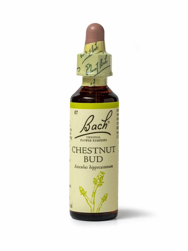 Sealed dropper bottle of Bach™ Original Flower Remedy Chestnut Bud 20ml - The bottle label reads " Bach™ Original Flower  Remedies Chestnut Bud - Aesculus hippocastanum " and includes a  light green illustration of the flower at the bottom.