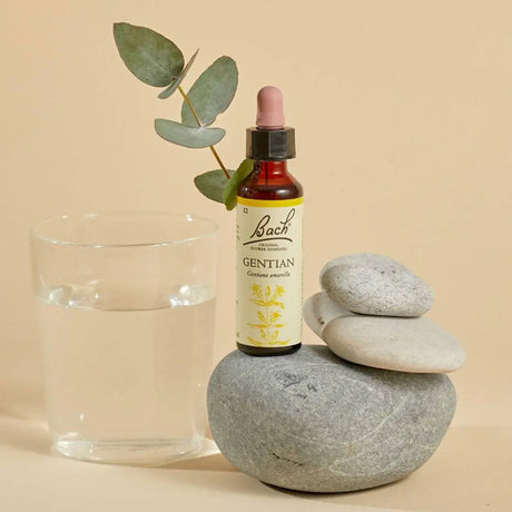 Bottle of Bach™ Original Flower Remedy Gentian 20ml on a beige background, on the top of a big stone and next to a medium stone with a small stone on the top of the medium stone. In the background, behind the bottle, are some eucalyptus leaves. Next to this, there is a glass of water .