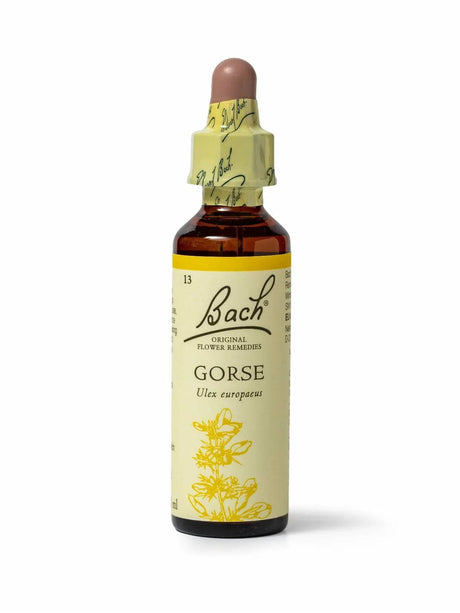 Sealed dropper bottle of Bach™ Original Flower Remedy Gorse 20ml  on a white background. The bottle label reads " Bach Original Flower  Remedies Gorse - Ulex europacus" and includes a yellow illustration of the flower at the bottom.