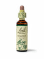 Sealed dropper bottle of Bach™ Original Flower Remedy Walnut 20ml on a white background. The bottle label reads " Bach™  Original Flower Remedies Walnut - Juglans regia" and includes a green illustration of the flower at the bottom.