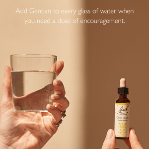 Infographic which contains one hand holding a glass of water and other hand holding Bach™ Original Flower Remedy Gentian 20ml and on the top says"Add Gentian to every glass of water when you need a dose of encouragement."
