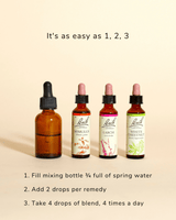 Infographic which contains, one mixing dropper, Bach mimulus essence, Bach Larch essence and Bach White Chestnut essence on the top says "It's as easy as 1,2,3" and on the bottom says"1. Fill mixing bottle 3/4 full of spring water, 2.Add 2 drops per remedy, 3.Take 4 drops of bled, 4 times a day."