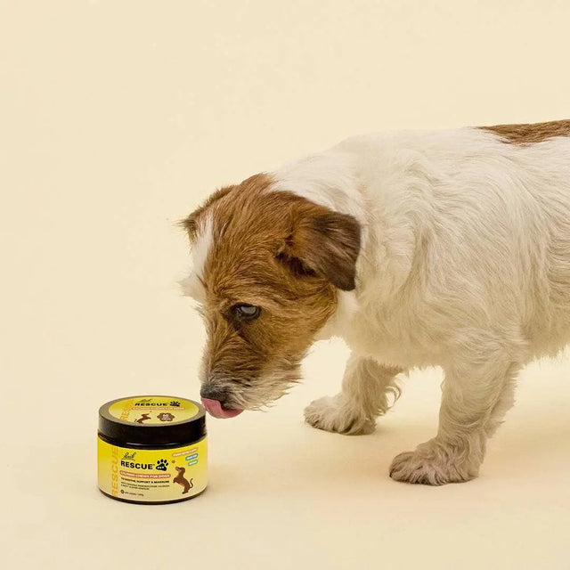 RESCUE® Pet Calming Chews for Dogs - Nelson Pharmacies Limited