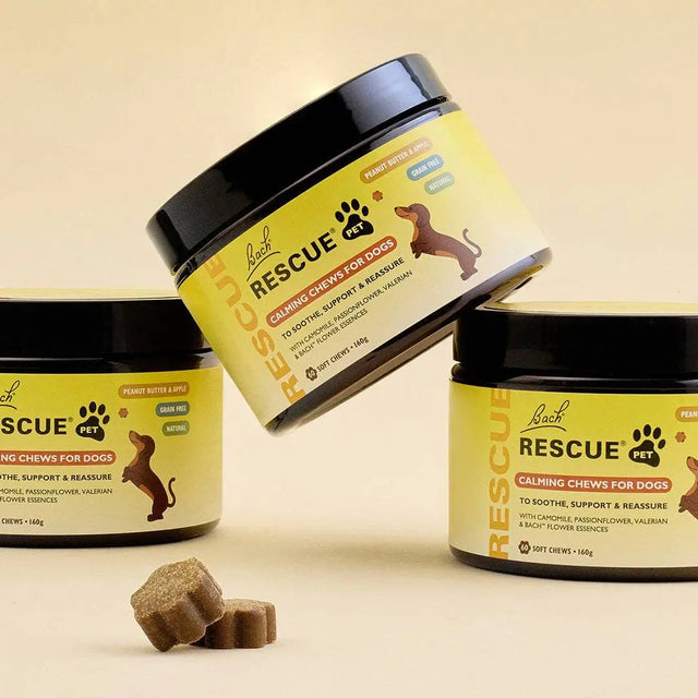 RESCUE® Pet Calming Chews for Dogs - Nelson Pharmacies Limited