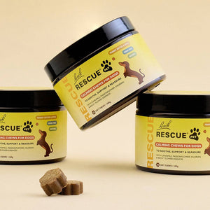RESCUE® Pet Calming Chews for Dogs - Nelson Pharmacies Limited