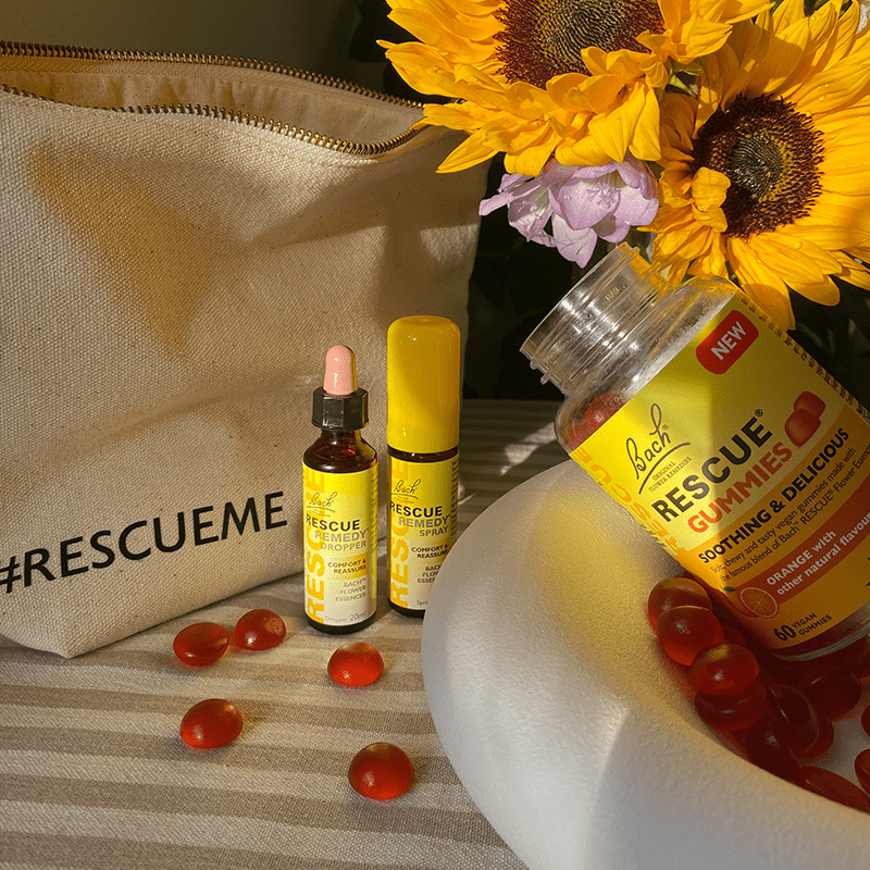  Everyday Calm Kit  products(Rescue 60 Gummies, Rescue Remedy Spray, Rescue Remedy Dropper) on the top of a dinning table with two sunflowers background