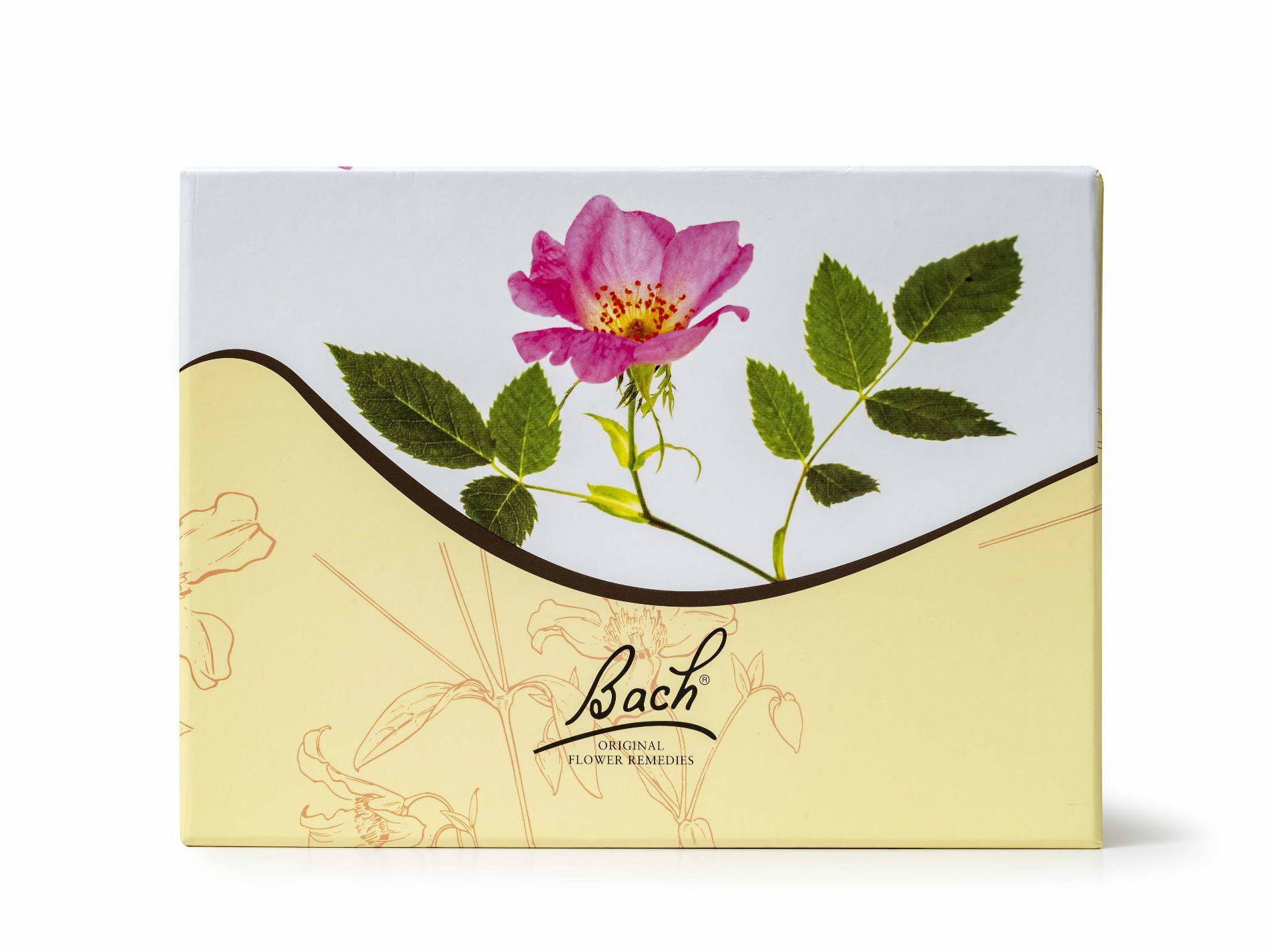 Bach Original Flower Remedy Card Box Set 38 x 20ml