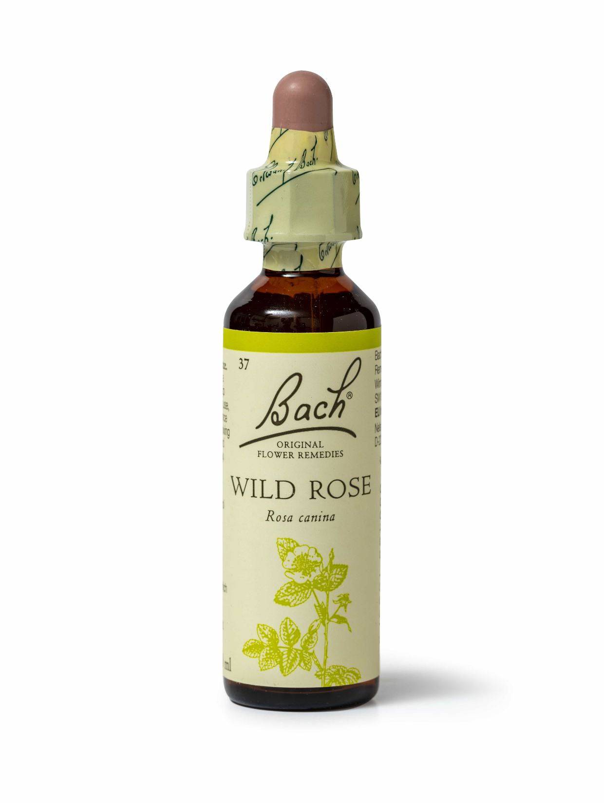 Bach Original Flower Remedy Wild Rose 20ml Dropper.